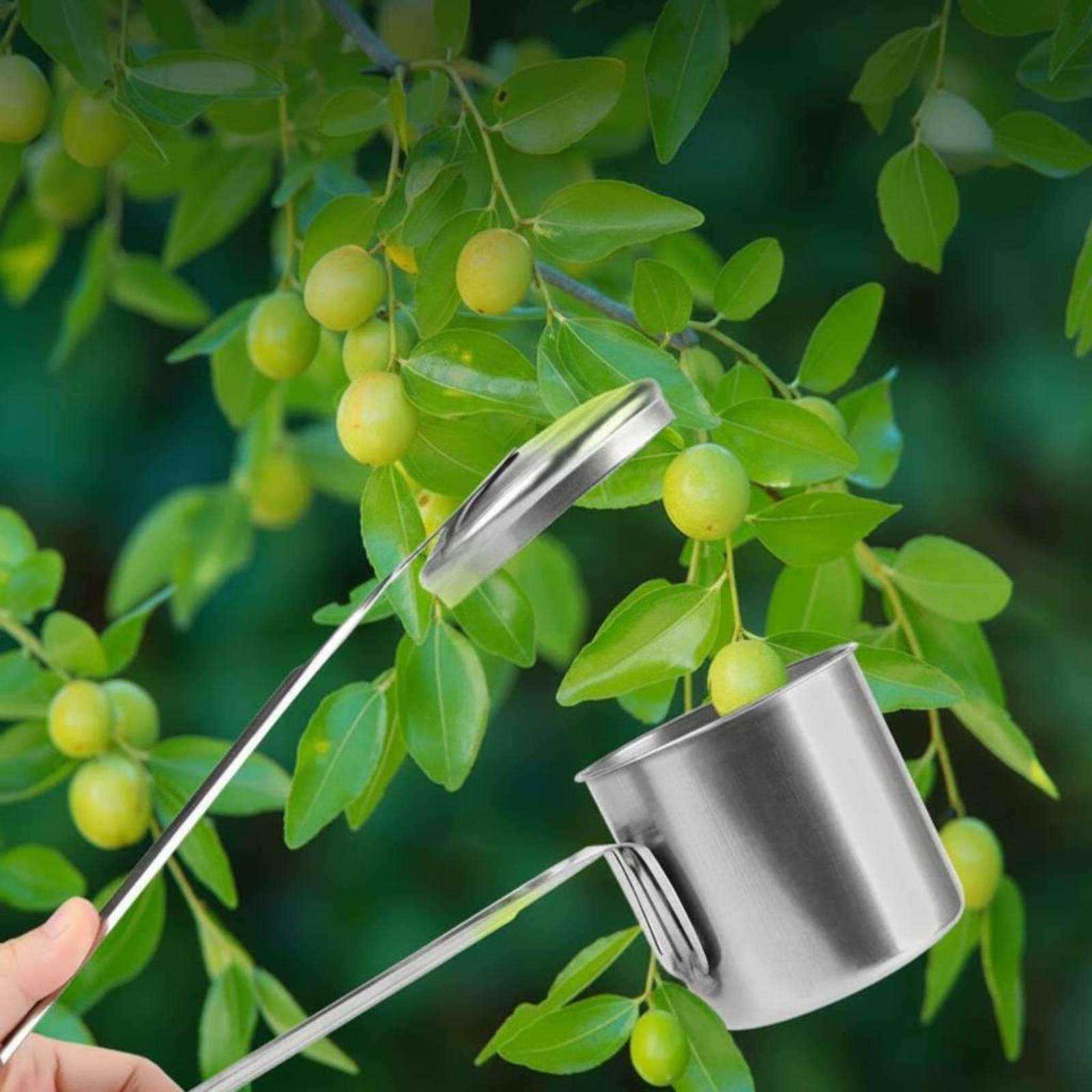 컵형 과일 따는 도구 스테인레스 스틸 과일 따는 도구  - Gardening Tools And Uses 리뷰 및 가격