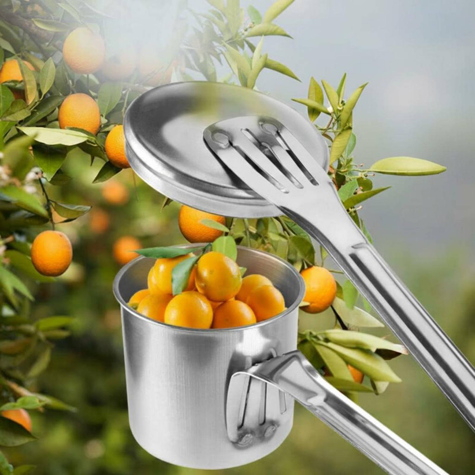 컵형 과일 따는 도구 스테인레스 스틸 과일 따는 도구  - Gardening Tools And Uses 리뷰 및 가격